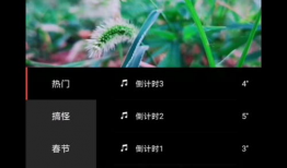 短视频的制作步骤,从策划到发布，轻松掌握短视频制作全流程