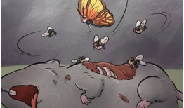 苍蝇漫画图,揭示生活百态的幽默缩影